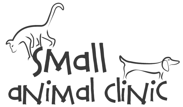 Veterinarian and Animal Clinic in Casa Grande, AZ | Small Animal Clinic